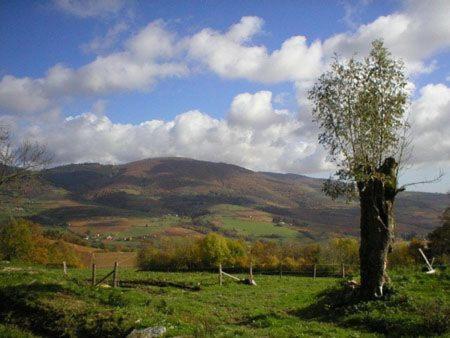 La Begude D'Amalthee Vernay Exterior foto
