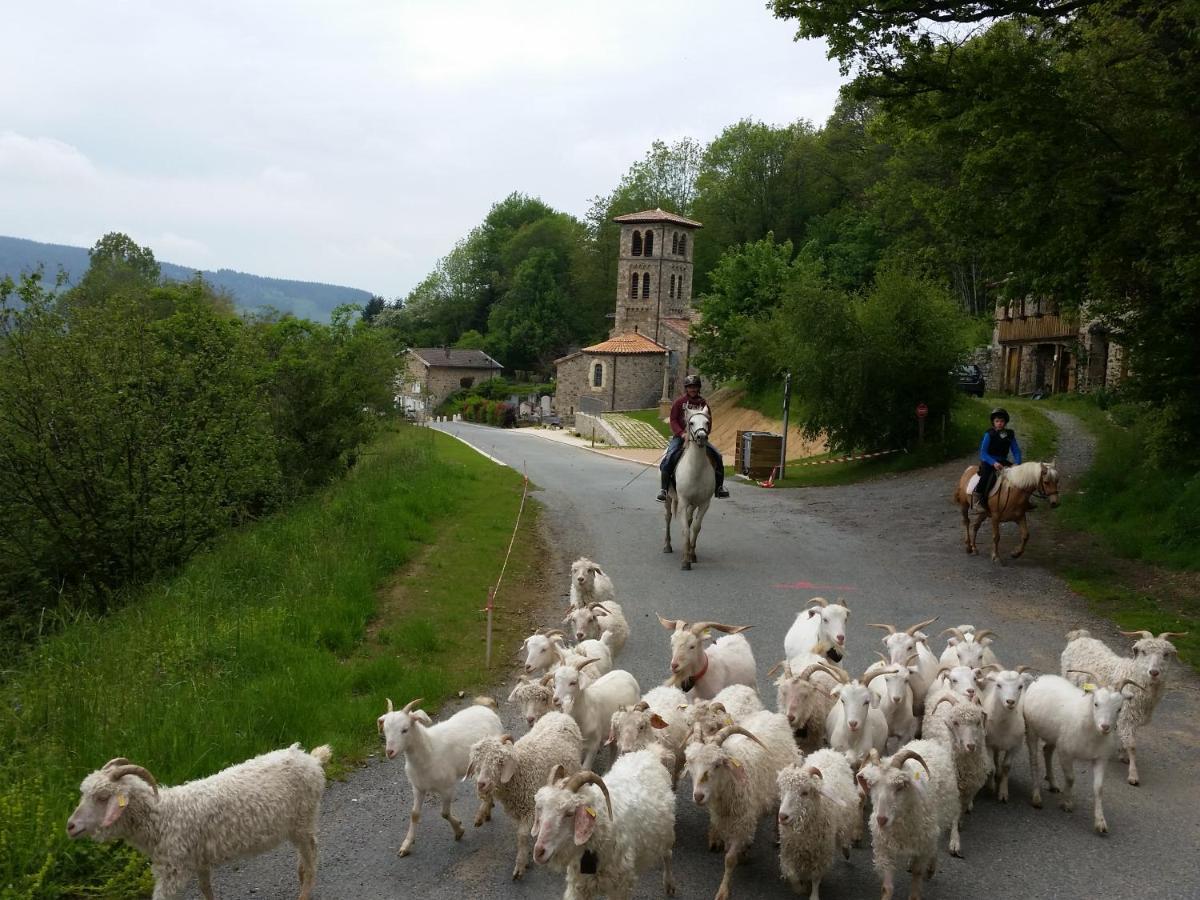 La Begude D'Amalthee Vernay Exterior foto